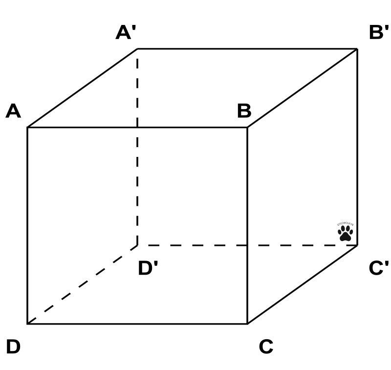 image du cube