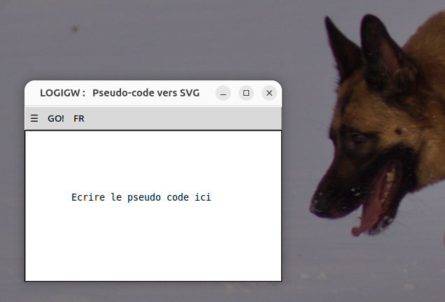 Fenêtre principale de Logigw avec zone de saisie de pseudo-code